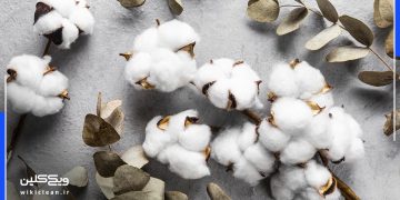 استفاده از پنبه و آب دریا برای ساخت باتری