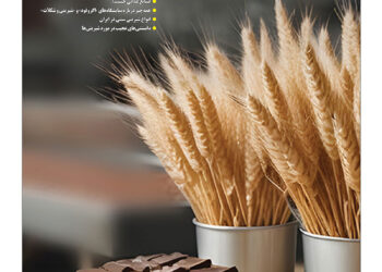 ویژه‌نامه ویکی‌کلین اختصاصی صنایع غذایی، شیرینی و شکلات