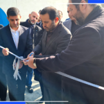 شرکت ابراهیم