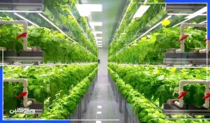 فناوری علیه کم‌آبی: جهان چگونه برای نجات منابع آب به نوآوری تکیه می‌کند؟